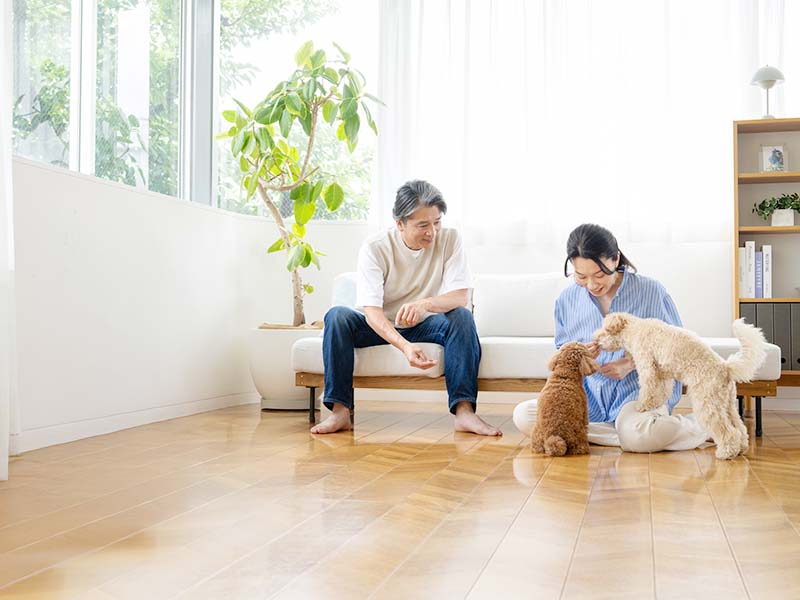 （写真差し替え）